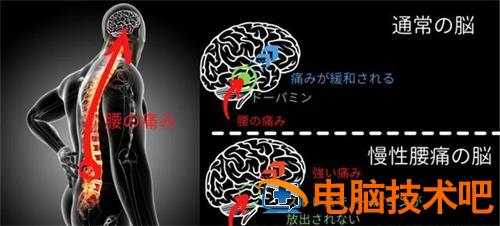 健身环大冒险可以减肥吗 健身环大冒险能减肥效果 系统教程 第2张