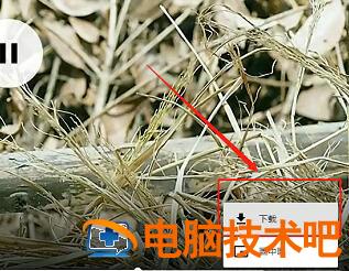 抖音电脑版怎么下载视频到本地 如何下载抖音视频到本地 系统教程 第4张