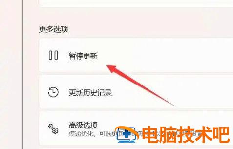 windows11取消自动更新在哪 系统教程 第2张