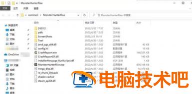 怪物猎人崛起曙光mod如何删除 怪物猎人崛起dlc曙光 系统教程 第2张