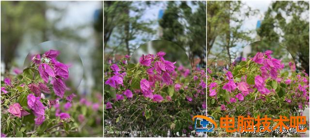 为什么苹果手机拍照那么难看 为什么苹果手机拍照这么难看 系统教程 第10张