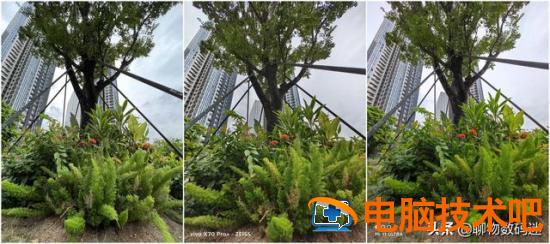 为什么苹果手机拍照那么难看 为什么苹果手机拍照这么难看 系统教程 第9张