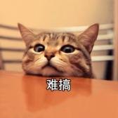 优盘怎么插到电脑上没反应 优盘插在电脑上没有反应是怎么回事 系统教程 第2张