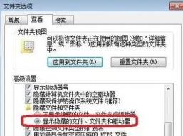 如何查看优盘上的隐藏文件 怎样查看优盘里的隐藏文件 系统教程 第6张
