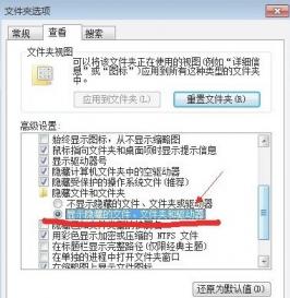 win7隐藏文件夹怎么显示 win7隐藏文件夹怎么显示图片 应用技巧 第4张