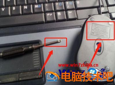 鼠标单击偶尔变双击了怎么办 鼠标有时单击变双击如何解决 应用技巧 第3张