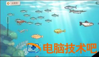 奥比岛梦想国度怎么钓鱼 奥比岛手游钓鱼在哪 系统教程 第2张