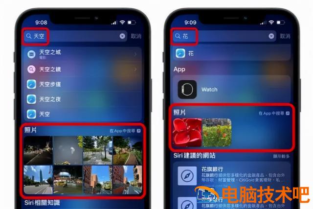 苹果拍动态照片怎么拍 苹果手机动态拍照怎么拍摄 系统教程 第3张
