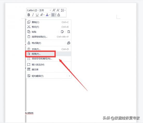 wps如何删掉空白页 wps怎么删除空白页 系统教程 第2张