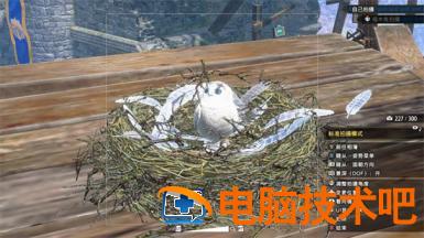 怪物猎人崛起曙光福木兔拍照任务怎么做 怪物猎人崛起 福木兔拍照 系统教程 第6张