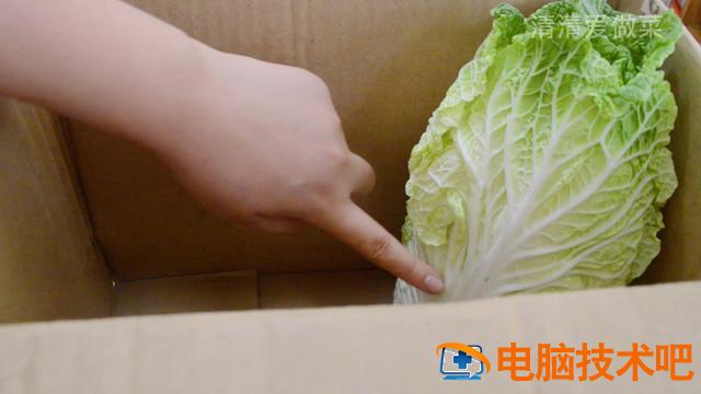 如何用大白菜备份文件 大白菜备份系统教程 系统教程 第5张