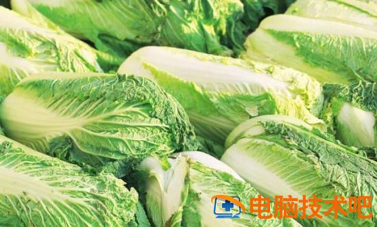 如何用大白菜备份文件 大白菜备份系统教程 系统教程 第2张