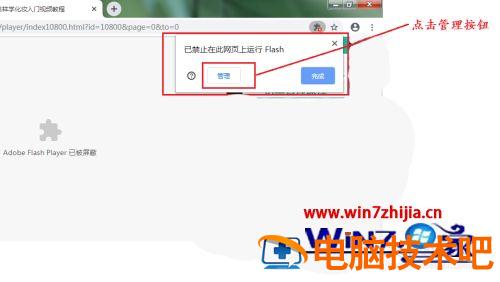 最新版谷歌浏览器禁用了flash怎么办 谷歌浏览器如何让flash解禁 应用技巧 第5张
