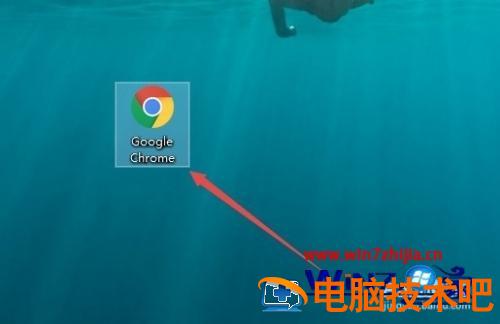 如何查看chrome版本 如何看chrome的版本号 应用技巧 第2张