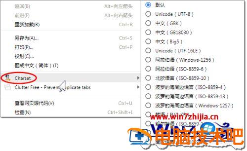 谷歌浏览器最新版本的编码在哪里改 谷歌浏览器默认编码是什么 应用技巧 第5张