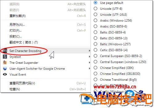谷歌浏览器最新版本的编码在哪里改 谷歌浏览器默认编码是什么 应用技巧 第7张