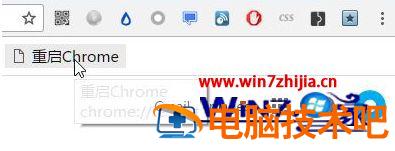 谷歌浏览器占用内存过大怎么办 chrome浏览器占用内存过大 应用技巧 第4张