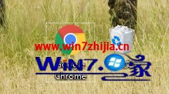 谷歌浏览器怎么换皮肤 谷歌浏览器换皮肤打不开 应用技巧 第2张