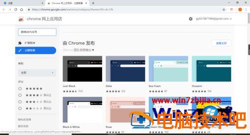 谷歌浏览器怎么换皮肤 谷歌浏览器换皮肤打不开 应用技巧 第6张