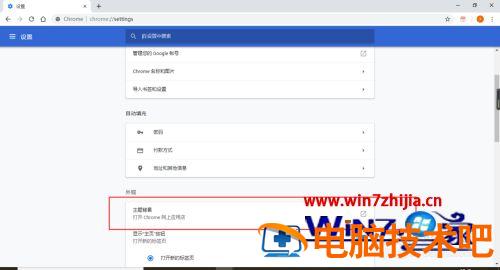 谷歌浏览器怎么换皮肤 谷歌浏览器换皮肤打不开 应用技巧 第5张