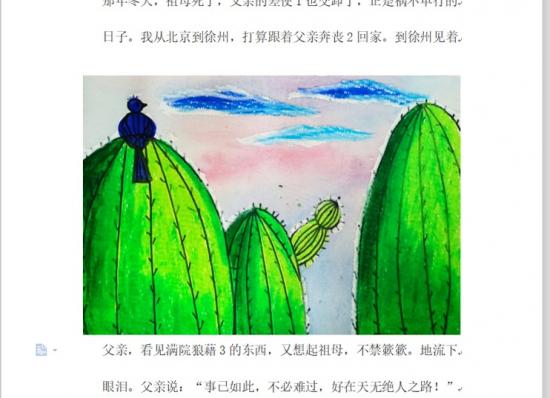 Word中图片显示不全怎么办 word图片显示不全怎么办压缩后 软件办公 第4张