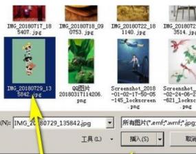 Word怎么设置图片衬于文字下方 word文字衬于图片上方 软件办公 第7张