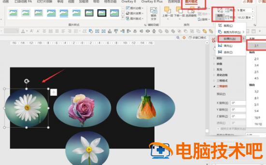 图片旋转展示的效果PPT教程 软件办公 第3张