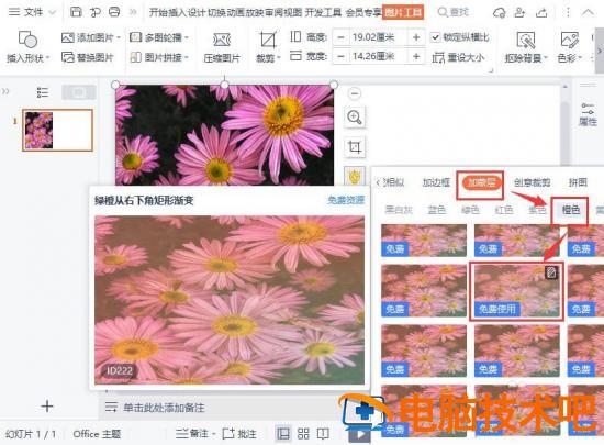 wps图片怎么添加蒙层效果 wps如何添加图案插图1电脑技术吧