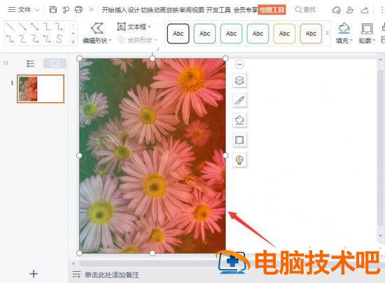 wps图片怎么添加蒙层效果 wps如何添加图案插图2电脑技术吧