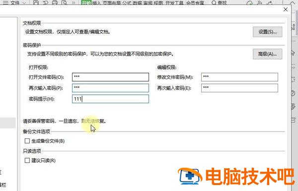 WPS表格如何设置安全密码 wps表格如何设置密码增加安全呢? 软件办公 第3张