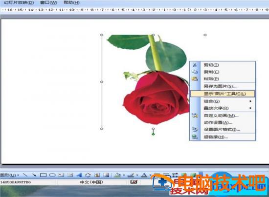 ppt怎么旋转图片制作方法步骤 ppt中怎样旋转图片 软件办公 第4张
