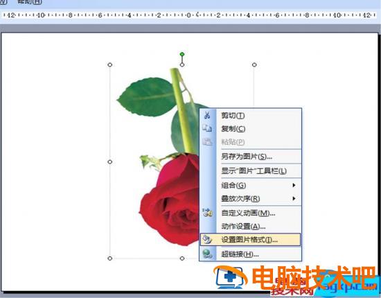 ppt怎么旋转图片制作方法步骤 ppt中怎样旋转图片 软件办公 第7张