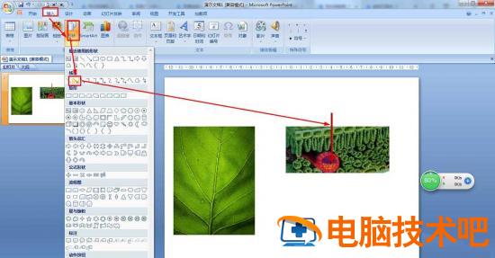 PPT怎么画树叶的结构名称图解 ppt如何画树叶插图1电脑技术吧