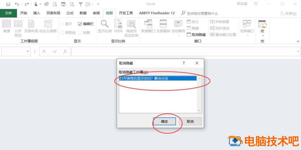Excel打开后空白不显示表格怎么办 excel打开空白不显示内容 没有隐藏怎么用运行修改插图2电脑技术吧