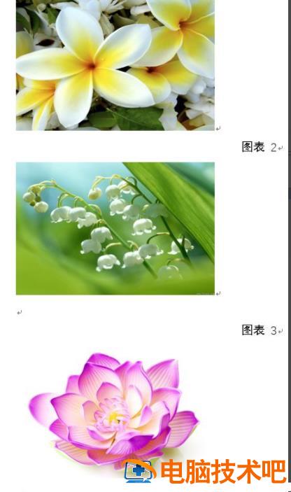 word图片怎么设置统一大小 word图片统一大小 软件办公 第5张