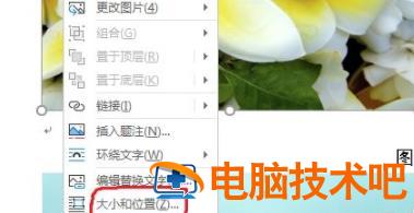 word图片怎么设置统一大小 word图片统一大小 软件办公 第2张