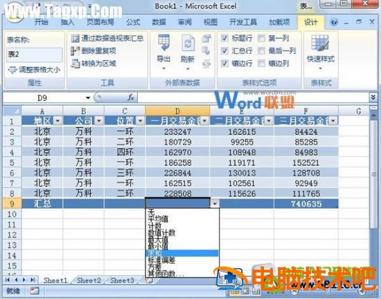 套用Excel2007表格样式进行数据汇总 excel利用套用表格样式进行格式化 软件办公 第5张