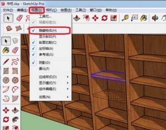 草图大师(SketchUp)中对象隐藏后取消隐藏的详细方法介绍 软件办公 第5张