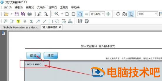 知云文献翻译如何使用输入翻译模式 知云文献翻译如何翻译整篇文档插图4电脑技术吧