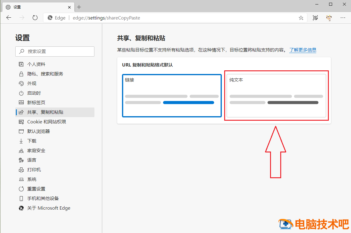 Edge浏览器无法复制网址变成网站标题怎么办 edge复制网页上不能复制的文字插图5电脑技术吧