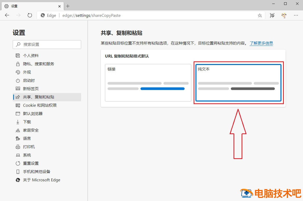 Edge浏览器无法复制网址变成网站标题怎么办 edge复制网页上不能复制的文字插图6电脑技术吧
