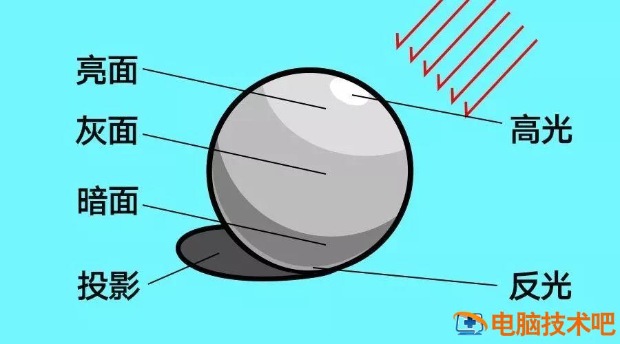 AI怎样绘制炫酷狮子插画 ai怎么画狮子插图6电脑技术吧