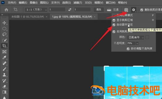 ps图像怎么实现按照1:1居中裁剪 ps怎么调整图片中其中之一的大小插图3电脑技术吧