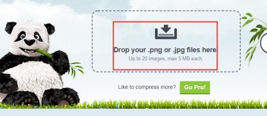 remove.bg抠图 removebg抠图免费插图1电脑技术吧