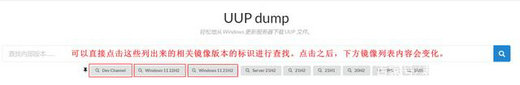 使用UUP下载Windows11 系统教程 第3张
