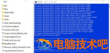 使用UUP下载Windows11 系统教程 第10张