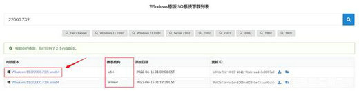 使用UUP下载Windows11 系统教程 第5张