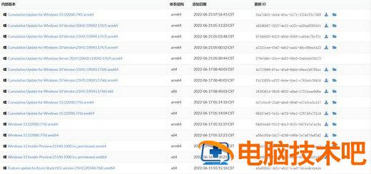 使用UUP下载Windows11 系统教程 第4张