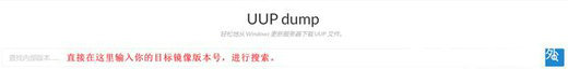 使用UUP下载Windows11 系统教程 第2张