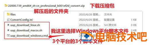 使用UUP下载Windows11 系统教程 第9张